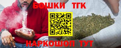 гашик Янаул